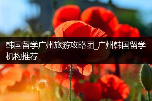 韩国留学广州旅游攻略团_广州韩国留学机构推荐