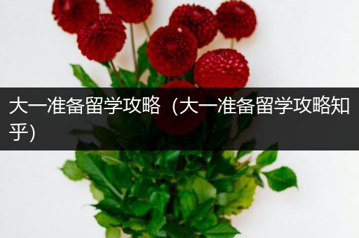 大一准备留学攻略（大一准备留学攻略知乎）