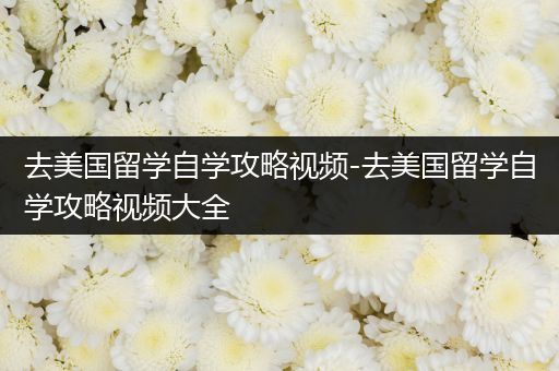 去美国留学自学攻略视频-去美国留学自学攻略视频大全