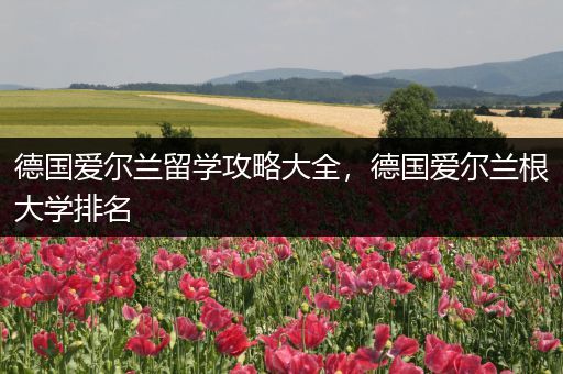 德国爱尔兰留学攻略大全，德国爱尔兰根大学排名