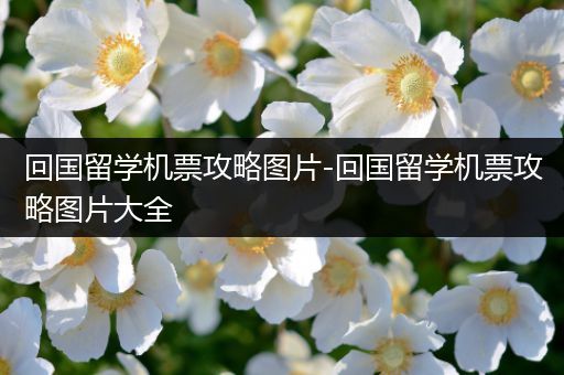 回国留学机票攻略图片-回国留学机票攻略图片大全