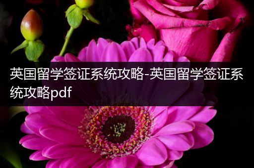 英国留学签证系统攻略-英国留学签证系统攻略pdf