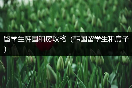 留学生韩国租房攻略（韩国留学生租房子）
