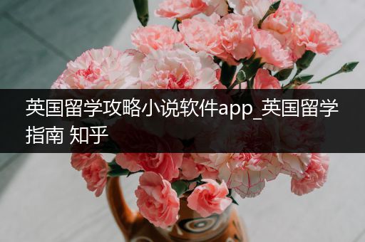英国留学攻略小说软件app_英国留学指南 知乎