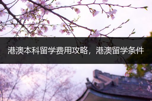 港澳本科留学费用攻略，港澳留学条件
