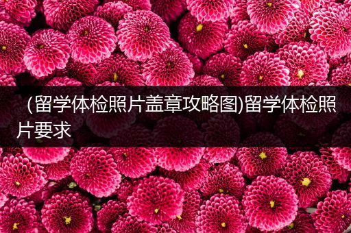 （留学体检照片盖章攻略图)留学体检照片要求