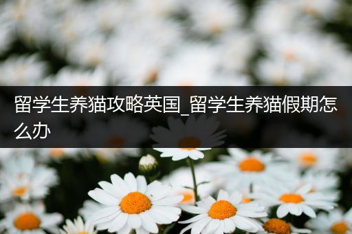 留学生养猫攻略英国_留学生养猫假期怎么办