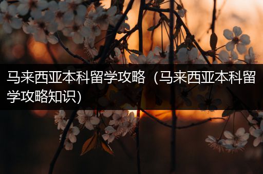 马来西亚本科留学攻略（马来西亚本科留学攻略知识）