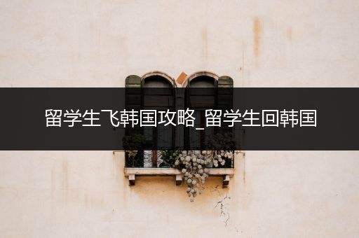 留学生飞韩国攻略_留学生回韩国