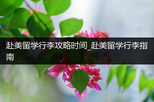 赴美留学行李攻略时间_赴美留学行李指南
