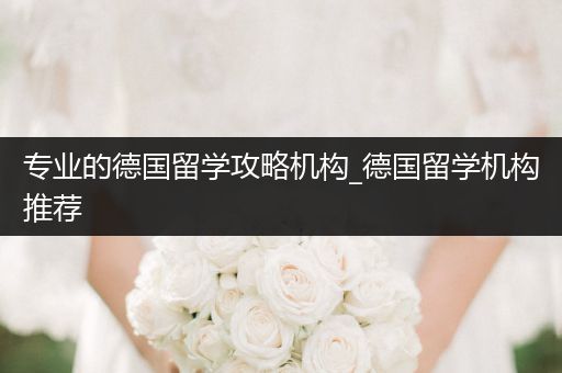 专业的德国留学攻略机构_德国留学机构推荐