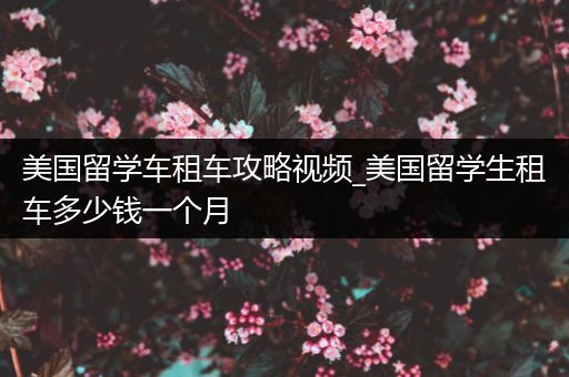 美国留学车租车攻略视频_美国留学生租车多少钱一个月