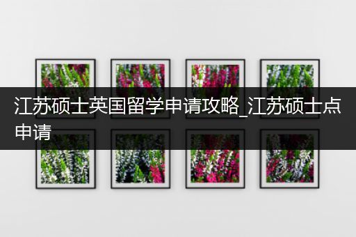 江苏硕士英国留学申请攻略_江苏硕士点申请