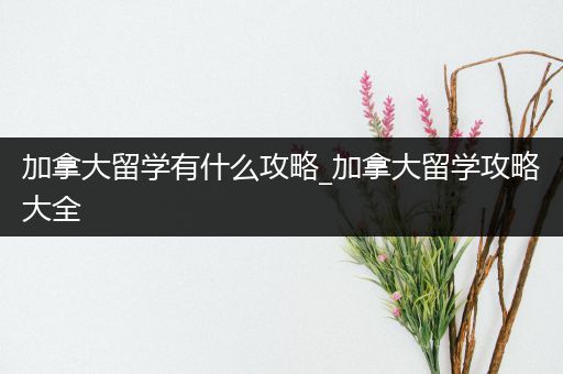 加拿大留学有什么攻略_加拿大留学攻略大全
