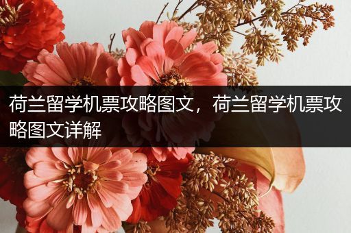 荷兰留学机票攻略图文，荷兰留学机票攻略图文详解