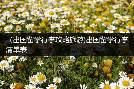 （出国留学行李攻略旅游)出国留学行李清单表