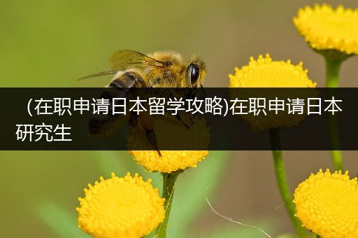 （在职申请日本留学攻略)在职申请日本研究生