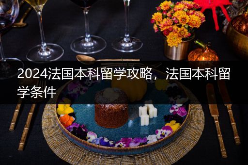 2024法国本科留学攻略，法国本科留学条件