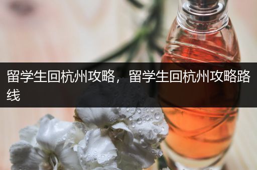留学生回杭州攻略，留学生回杭州攻略路线