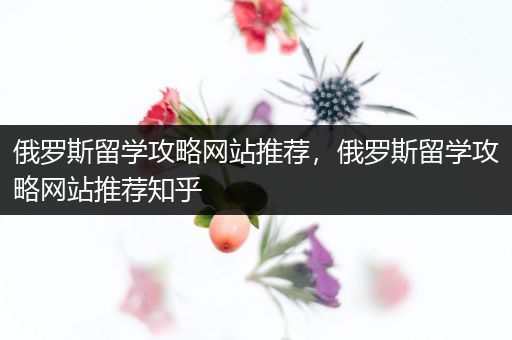 俄罗斯留学攻略网站推荐，俄罗斯留学攻略网站推荐知乎