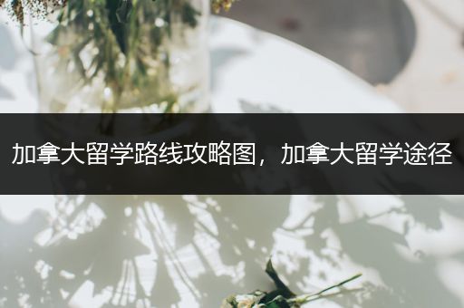 加拿大留学路线攻略图，加拿大留学途径