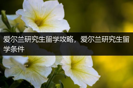 爱尔兰研究生留学攻略，爱尔兰研究生留学条件
