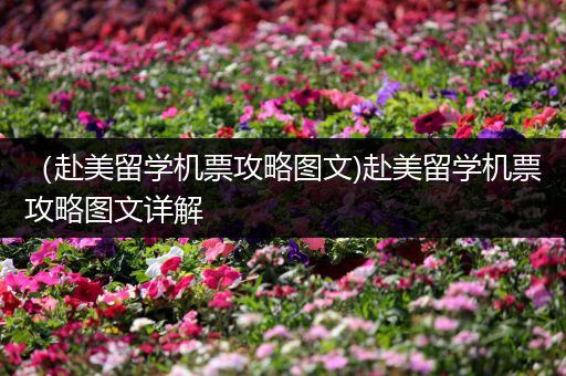 （赴美留学机票攻略图文)赴美留学机票攻略图文详解