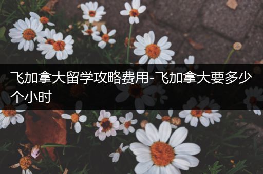 飞加拿大留学攻略费用-飞加拿大要多少个小时