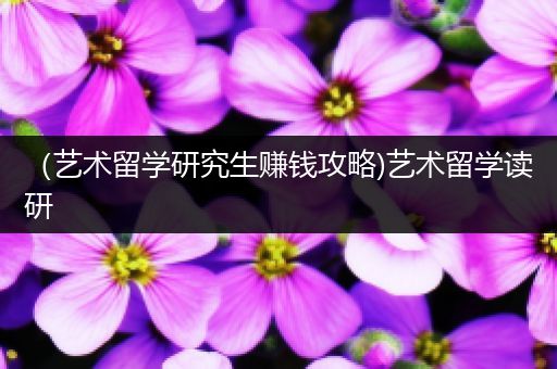 （艺术留学研究生赚钱攻略)艺术留学读研