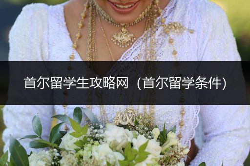 首尔留学生攻略网（首尔留学条件）