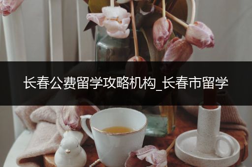 长春公费留学攻略机构_长春市留学