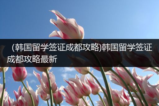 （韩国留学签证成都攻略)韩国留学签证成都攻略最新