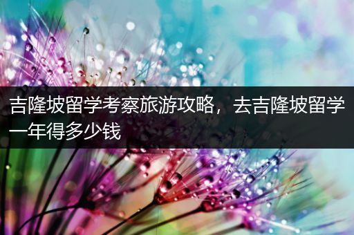 吉隆坡留学考察旅游攻略，去吉隆坡留学一年得多少钱
