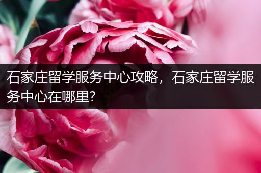石家庄留学服务中心攻略，石家庄留学服务中心在哪里?