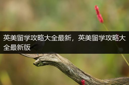 英美留学攻略大全最新，英美留学攻略大全最新版