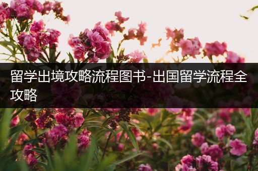 留学出境攻略流程图书-出国留学流程全攻略