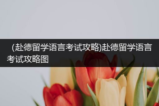 （赴德留学语言考试攻略)赴德留学语言考试攻略图