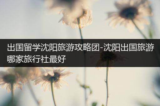 出国留学沈阳旅游攻略团-沈阳出国旅游哪家旅行社最好