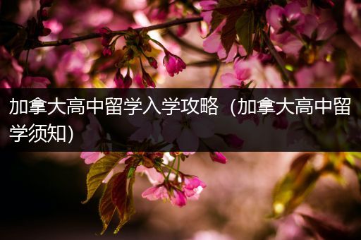 加拿大高中留学入学攻略（加拿大高中留学须知）