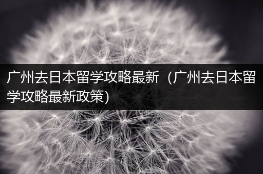 广州去日本留学攻略最新（广州去日本留学攻略最新政策）