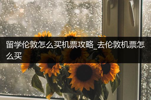 留学伦敦怎么买机票攻略_去伦敦机票怎么买