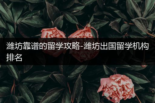 潍坊靠谱的留学攻略-潍坊出国留学机构排名