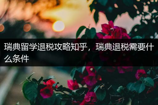 瑞典留学退税攻略知乎，瑞典退税需要什么条件