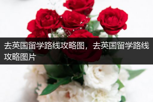去英国留学路线攻略图，去英国留学路线攻略图片