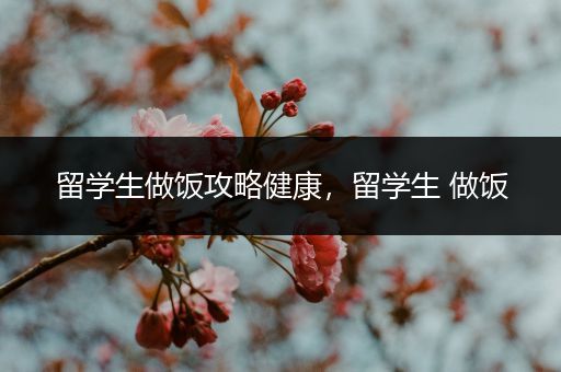 留学生做饭攻略健康，留学生 做饭