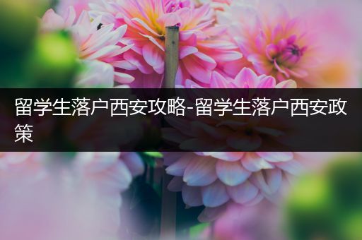 留学生落户西安攻略-留学生落户西安政策