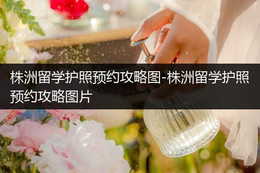 株洲留学护照预约攻略图-株洲留学护照预约攻略图片