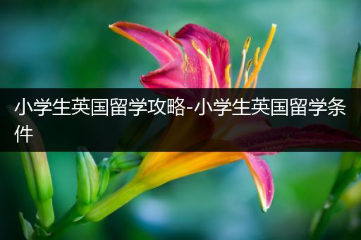 小学生英国留学攻略-小学生英国留学条件