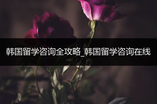 韩国留学咨询全攻略_韩国留学咨询在线