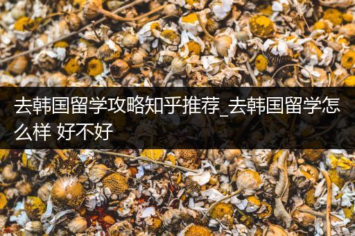 去韩国留学攻略知乎推荐_去韩国留学怎么样 好不好